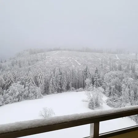 Zur Bergoase Mit Schwimmbad Fuer Gross Und Klein * Braunlage