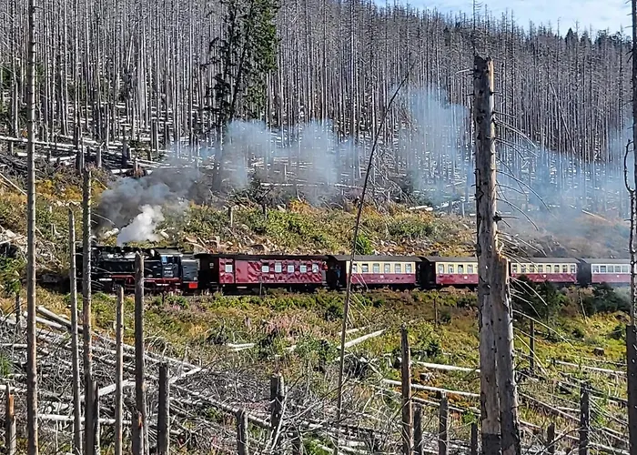Апартаменты Zur Bergoase Mit Schwimmbad Fuer Gross Und Klein