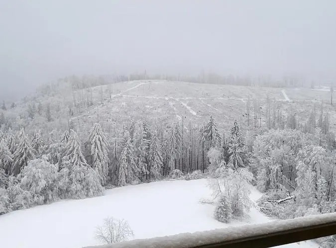 Zur Bergoase Mit Schwimmbad Fuer Gross Und Klein * Braunlage